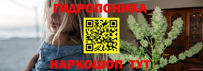 дживик Боровичи