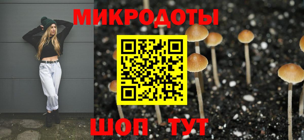 Галлюциногенные грибы мицелий  Вход с VPN  где купить   Людиново 