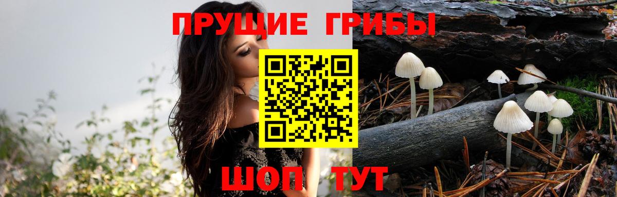 Псилоцибиновые грибы мухоморы Людиново